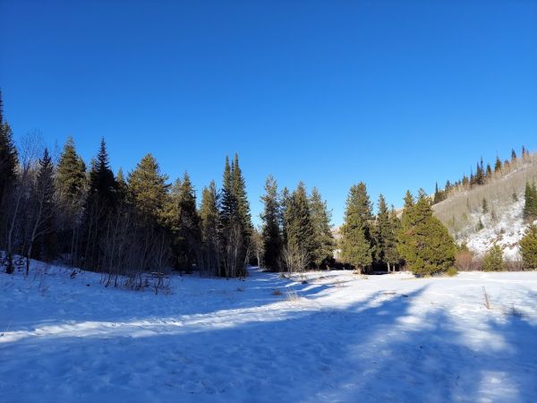 Lower Maloney Campsite