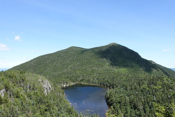 Horns Pond Lean-tos
