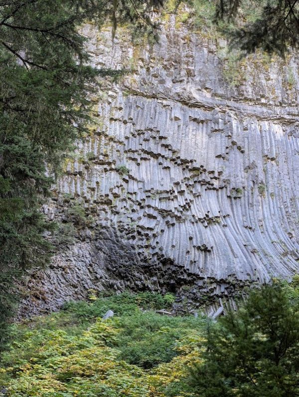 South Puyallup River Camp