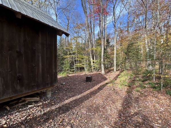 Little Rock Pond Tenting Area