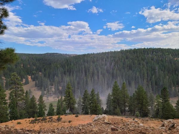 Designated Campsite #1