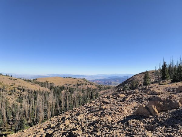 East Fork Dispersed Camping