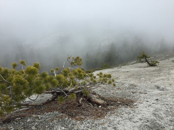 Clover Meadow Campground