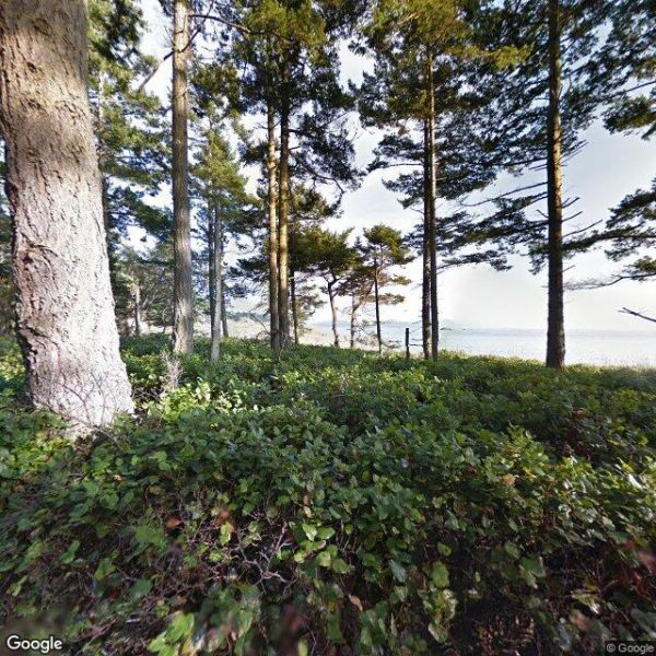 D'Arcy Island Campground / BC Marine Trail