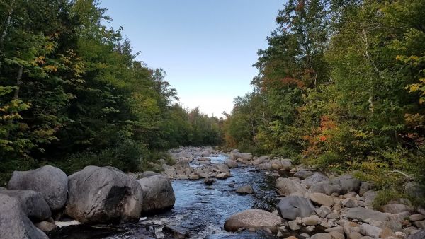 South Branch Carrabassett River Campsite