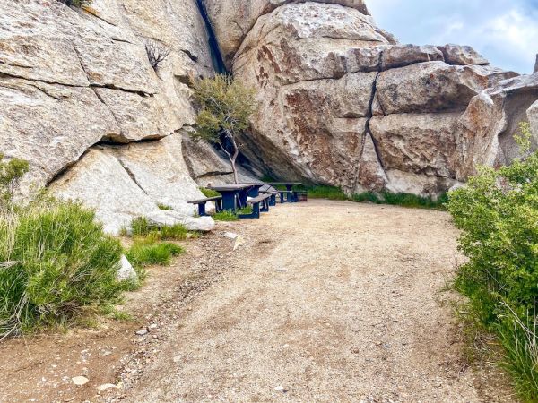 Twin Sisters Group Camp