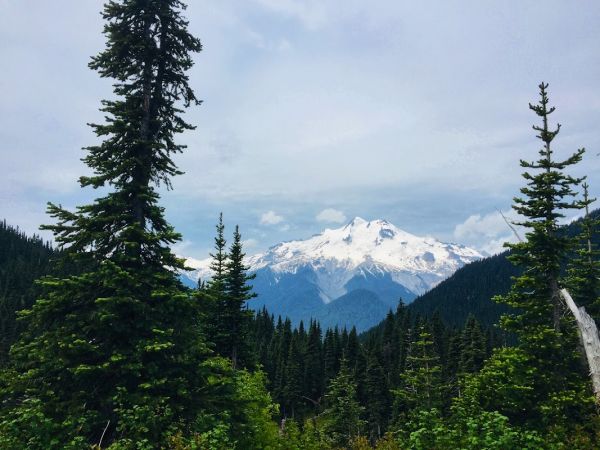 Buck Creek Pass Camp