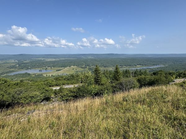 Marvin's Mountaintop