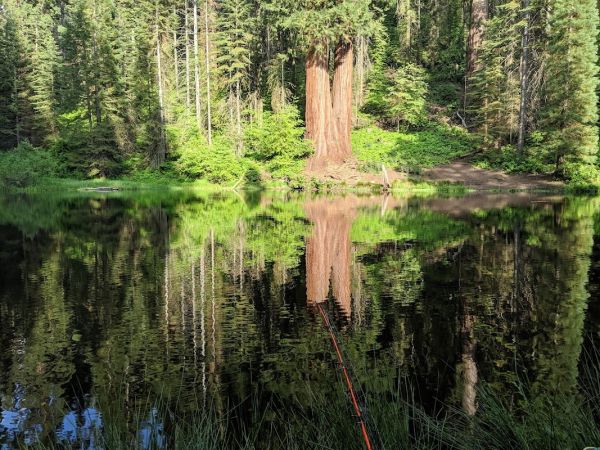 Hedrick Pond Campground