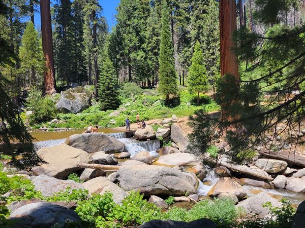 Hidden Falls Campground