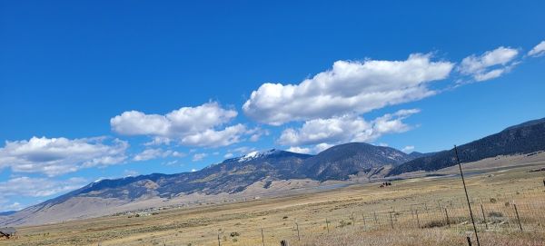 Touch-Me-Not Creek Camp