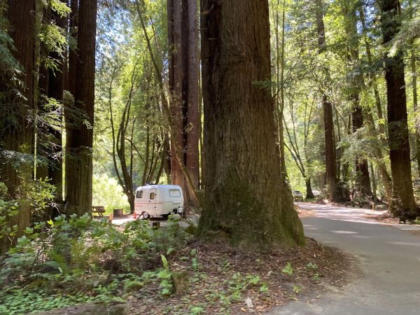 Paul M. Dimmick Campground