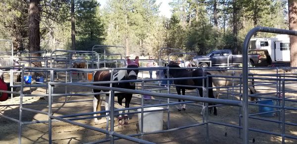Heart Bar Equestrian Group Campground