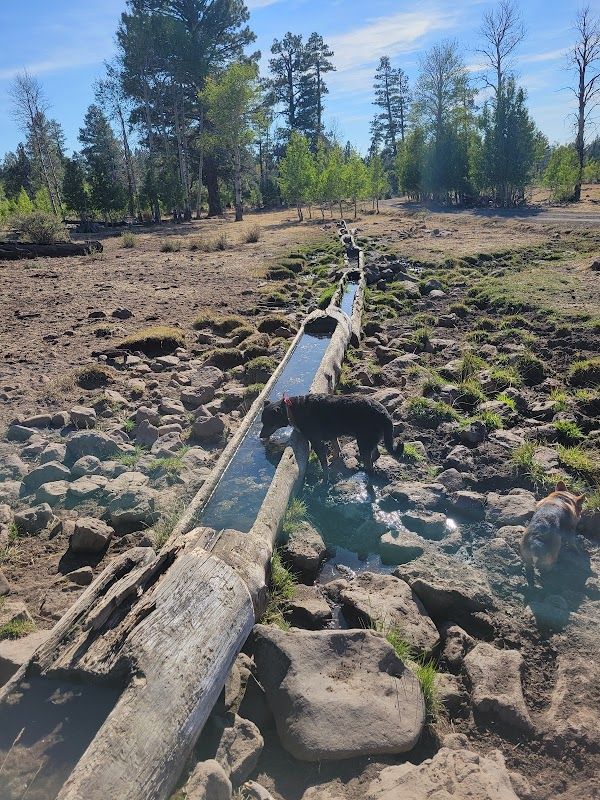 Currier Springs Horse Camp