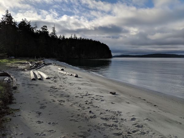 Odlin County Park Campsite (CMT)