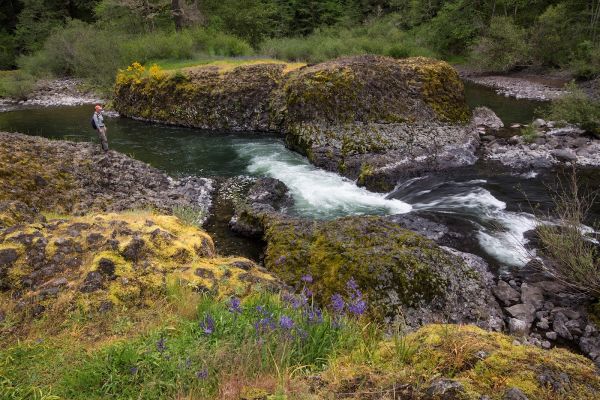 Three Bears Campground