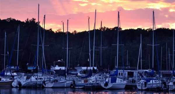 Steele Creek Marina & Campground