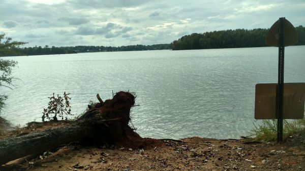 Leatherwood Island Backcountry Camp #1