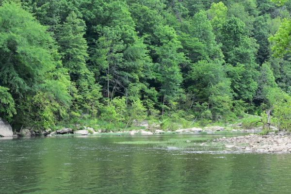 Leatherwood Island Backcountry Campground #2