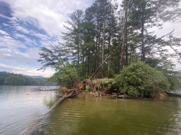 Big Snowbird Rd USFS Free Campground