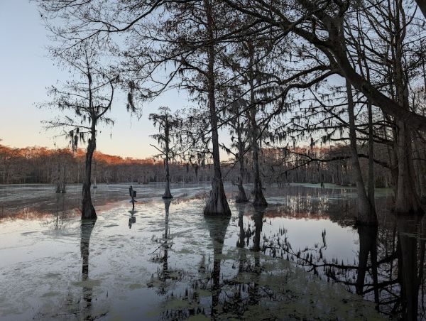 Bennett Creek Paddle-In High Ground Campsites