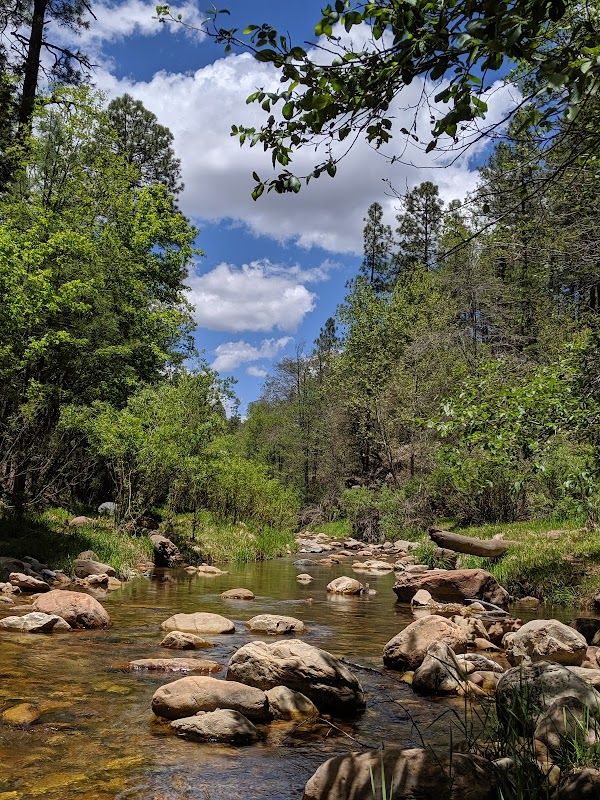 Lower Tonto Creek Campground