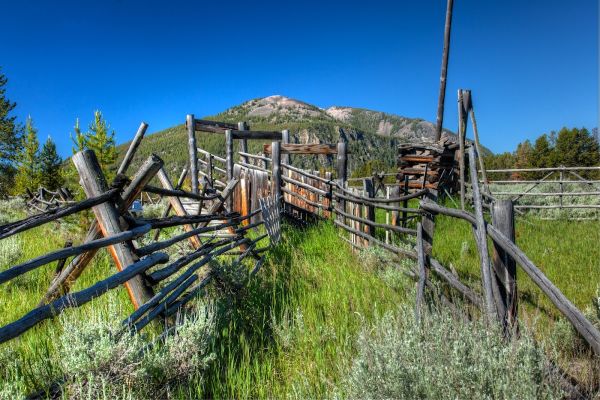 Pettingill Campground