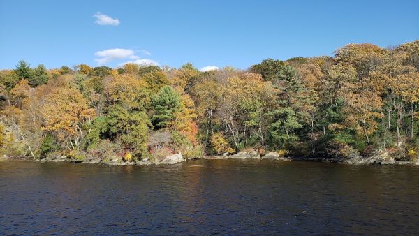 Springledge Camp Area