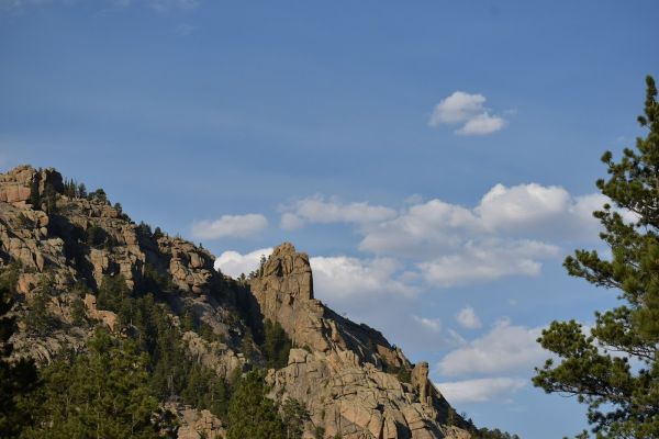 Curtis Gulch Campground