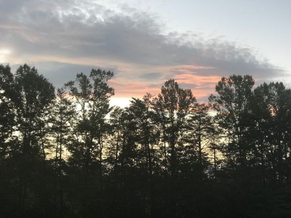 Shingle Hollow Congregational Holiness Camp Ground