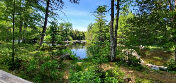 Scott Brook Provincial Park