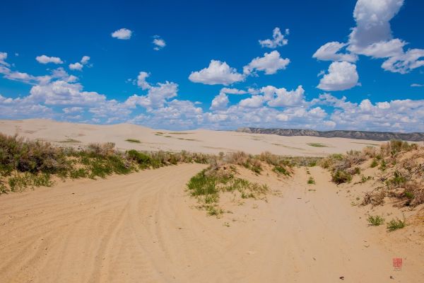 Killpecker Sand Dunes Open Play Area Campground