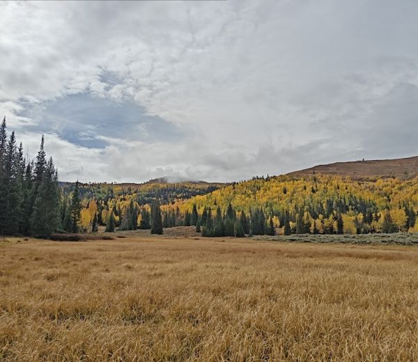 Miller Flat Reservoir Campground