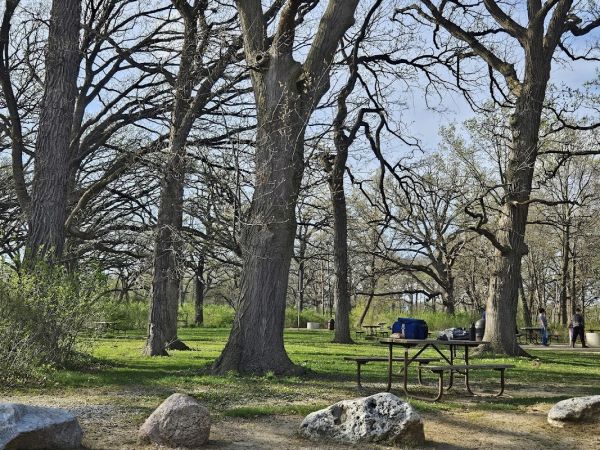 Van Patten Woods Youth Group Camp Site