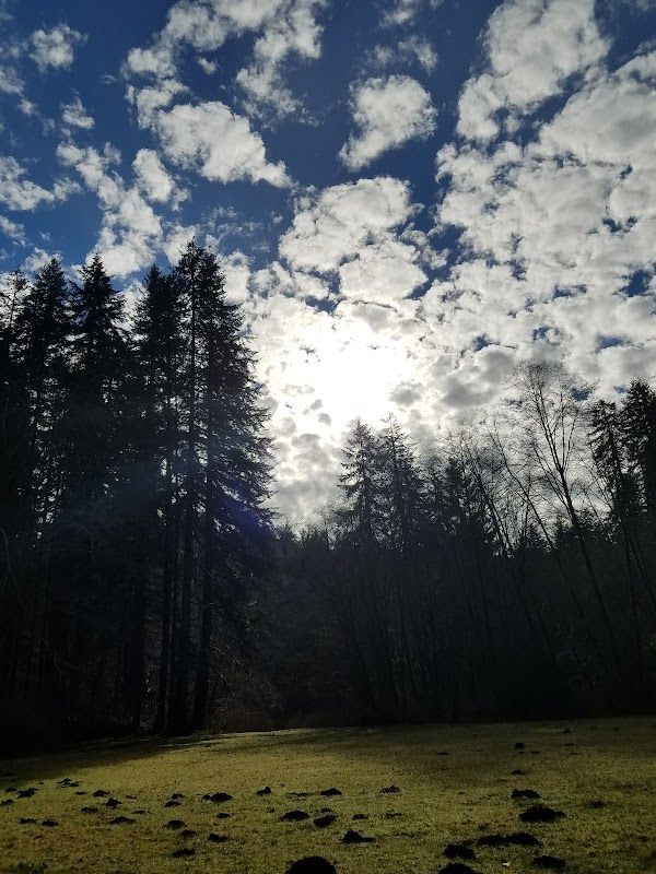 Canal Creek Group Campground - Alsea Site