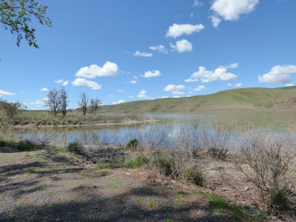 Little Goose Landing Camping