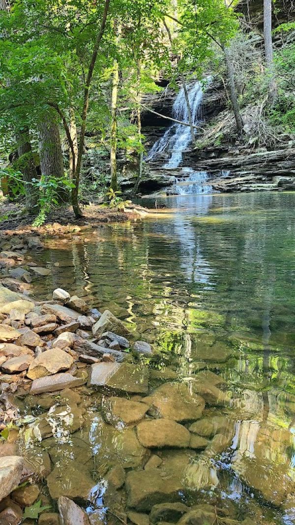Holly Branch Campsite