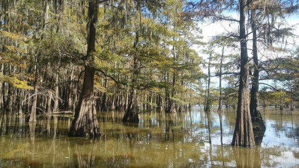 St Catherine Creek National Wildlife Refuge Campground