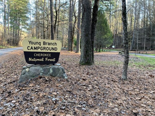 Young Branch Campground