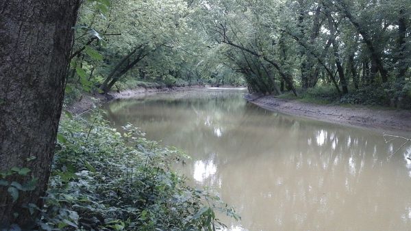 Miller's Creek Camping Area