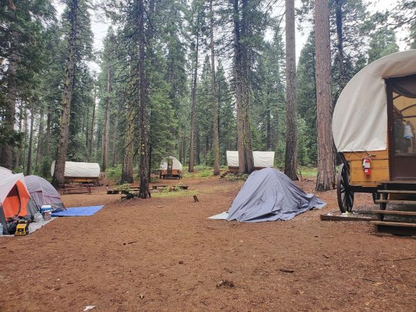 Sugar Pine Environmental Camp