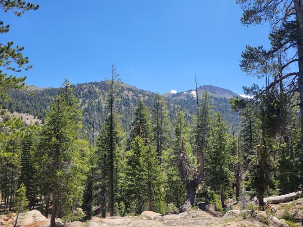 Bloomfield Campground