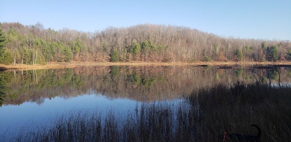 Long Lake Campground Lower 900s