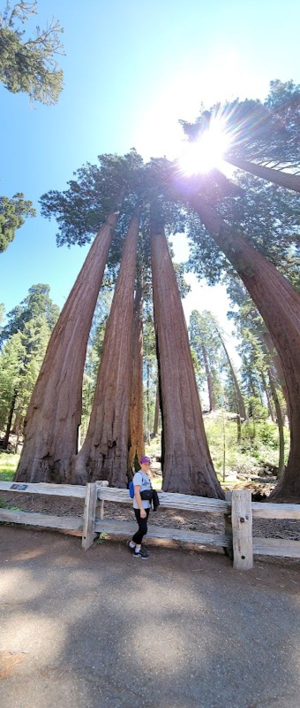 Crystal Springs Campground