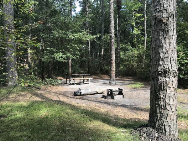 Buttonwood Campground