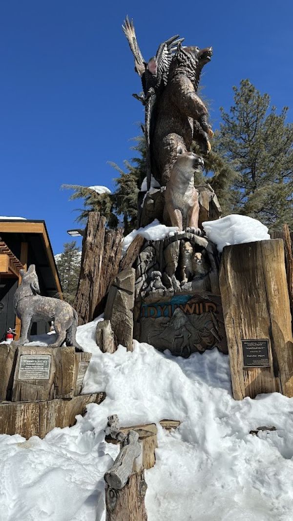 Mount San Jacinto State Park Idyllwild Campground