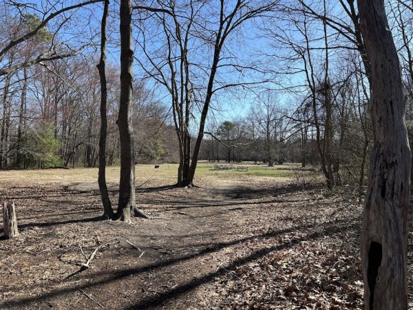 Cheesequake State Park Group Campground