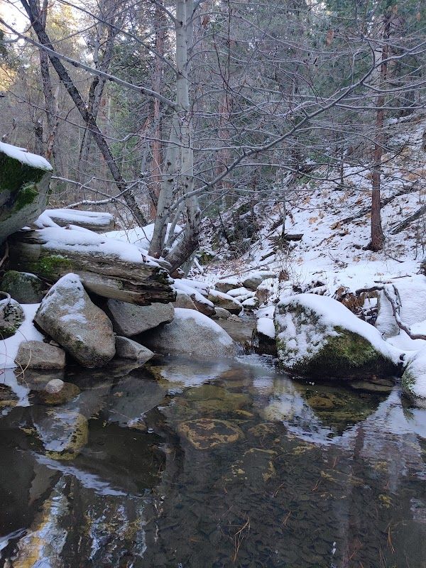 Lawler Lodge and Alpine Cabins
