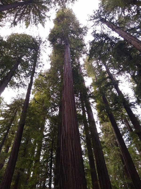 Van Duzen County Park