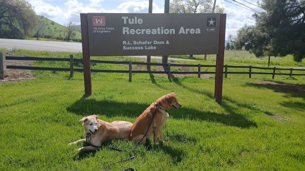 Lake Success Reacreational Area